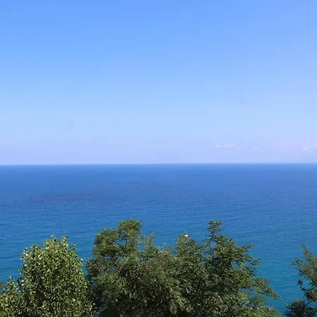 招待所 Ellysblue 3*