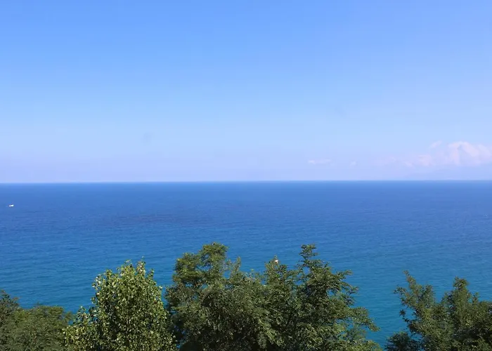 Guest house Ellysblue 3*